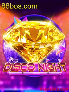 DiscoNight